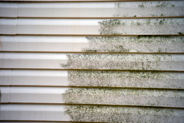 Best Wood Siding Installation  in Sunnyside, CA