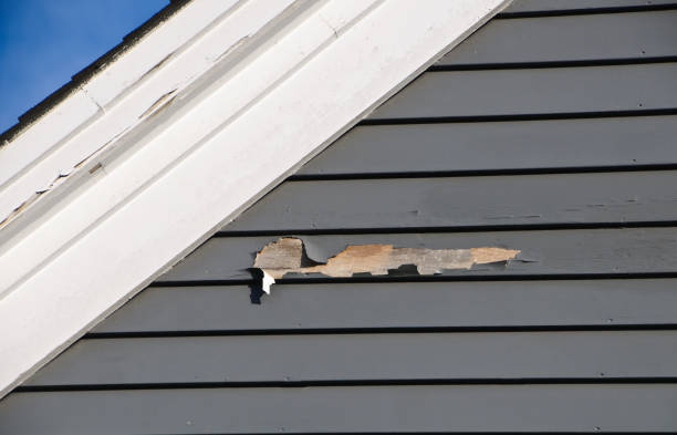 Siding for Commercial Buildings in Sunnyside, CA