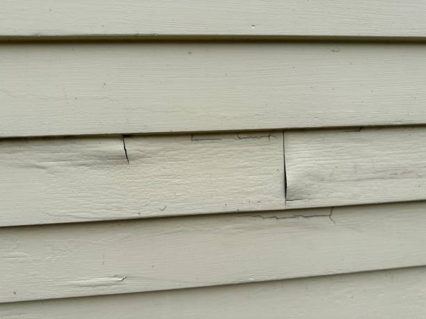 Best Residential Vinyl Siding Installation  in Sunnyside, CA
